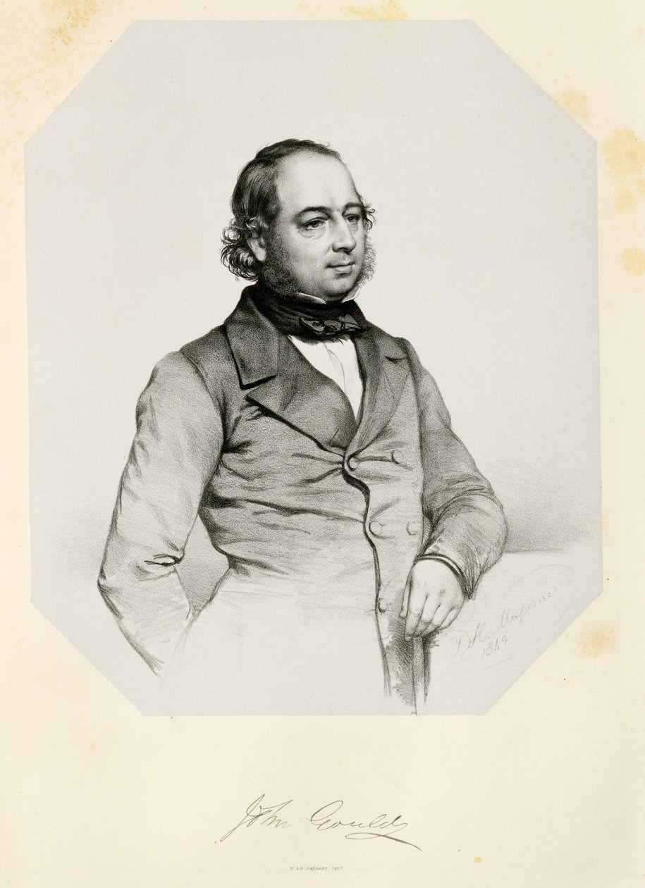 ಜಾನ್ ಗೌಲ್ಡ್ (1804-81) 1849 ಟರ್ಕಿ by Thomas Herbert Maguire
