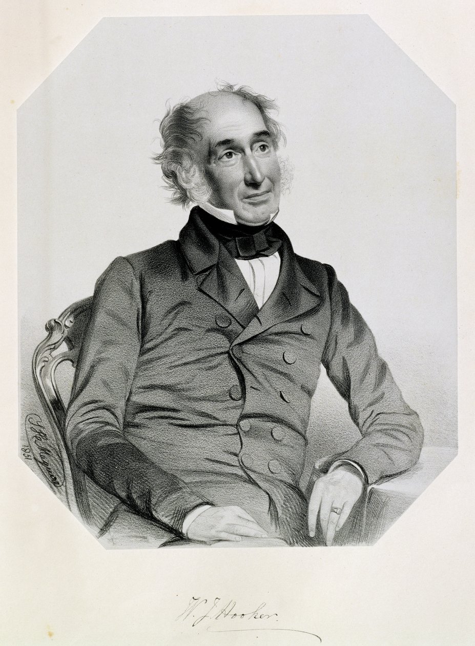 Sir William Jackson Fahişe (1785-1865) 1851 by Thomas Herbert Maguire