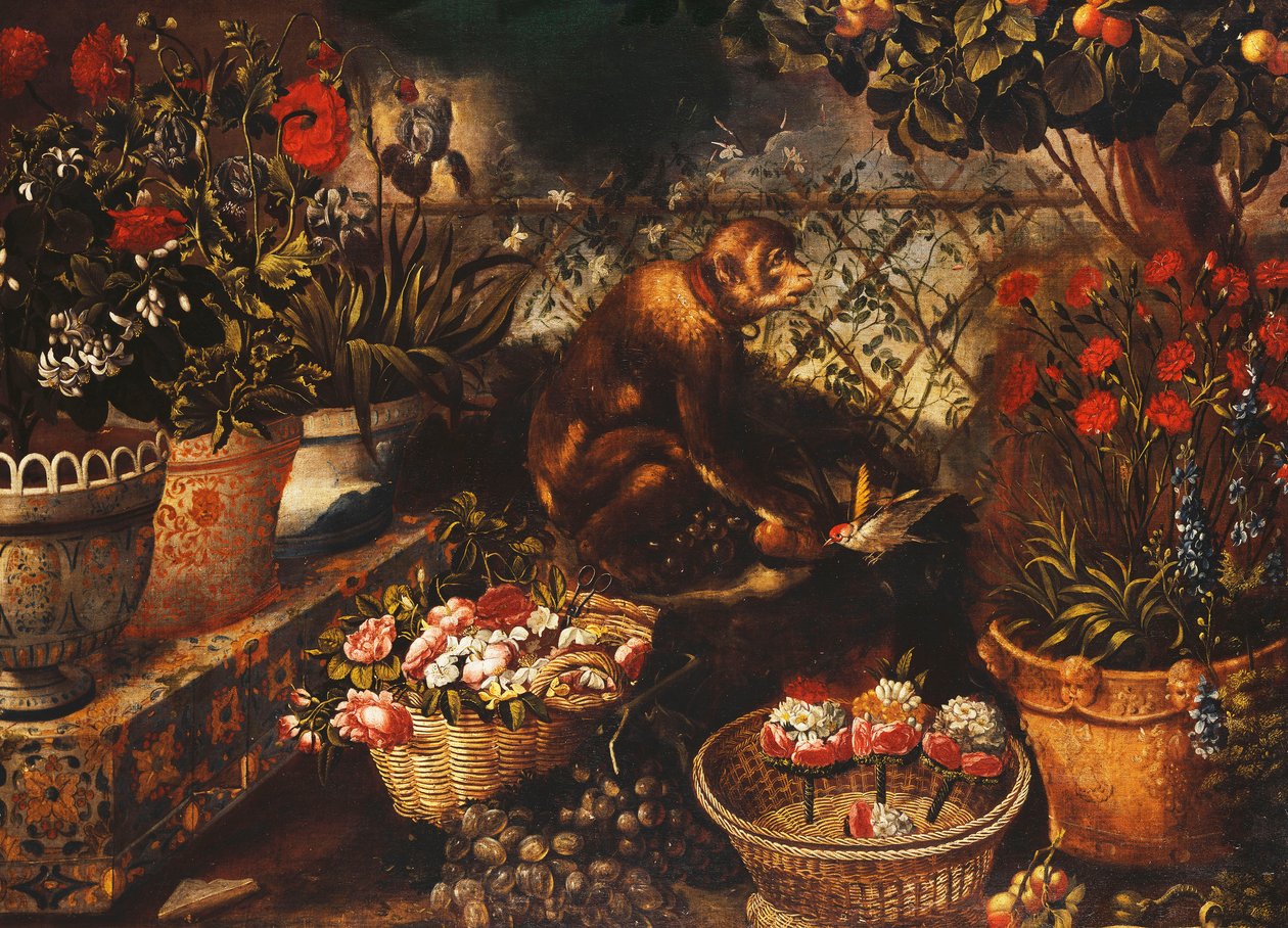 çitle çevrili bir bahçede bir maymun, by Thomas Hiepes