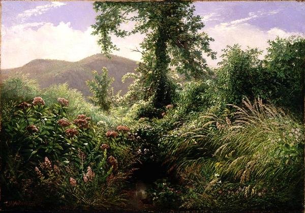 Catskill Dağları, Shandaken, New York (tuval üzerine yağlı boya) by Thomas Hiram Hotchkiss