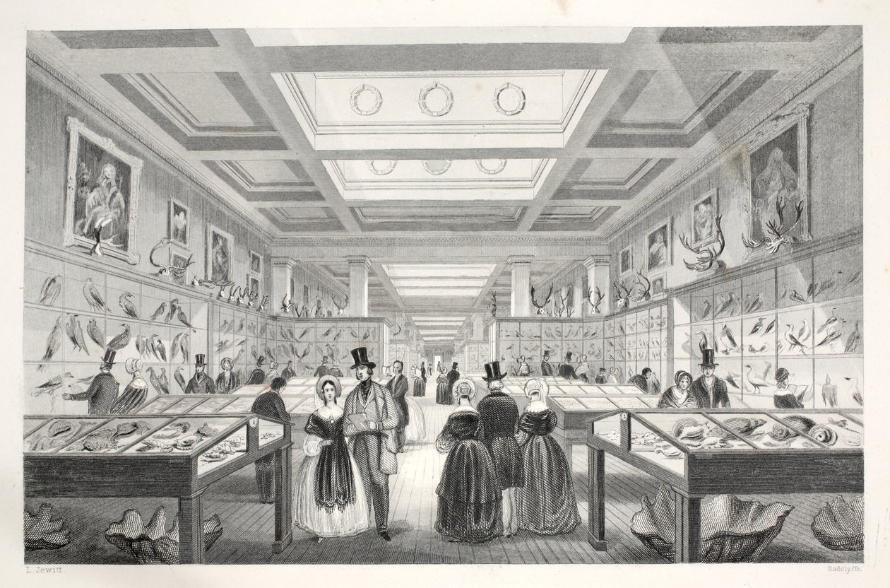 British Museum, Zoological Gallery, 