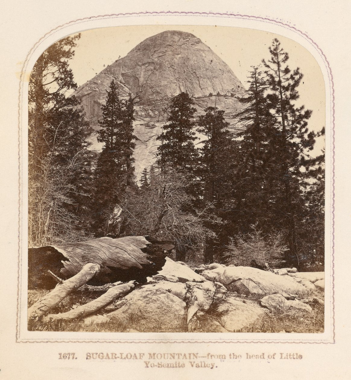  by Thomas Houseworth