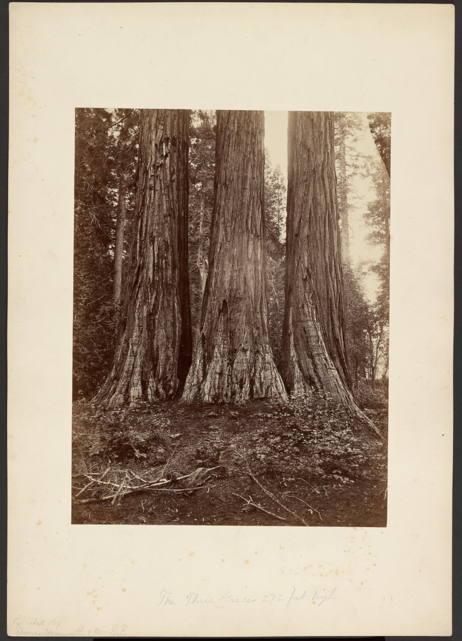  by Thomas Houseworth