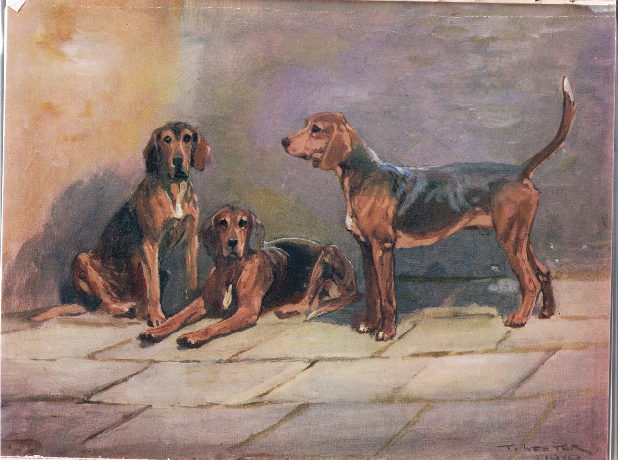 Köpekler, "Hounds"dan bir örnek by Thomas Ivester Lloyd
