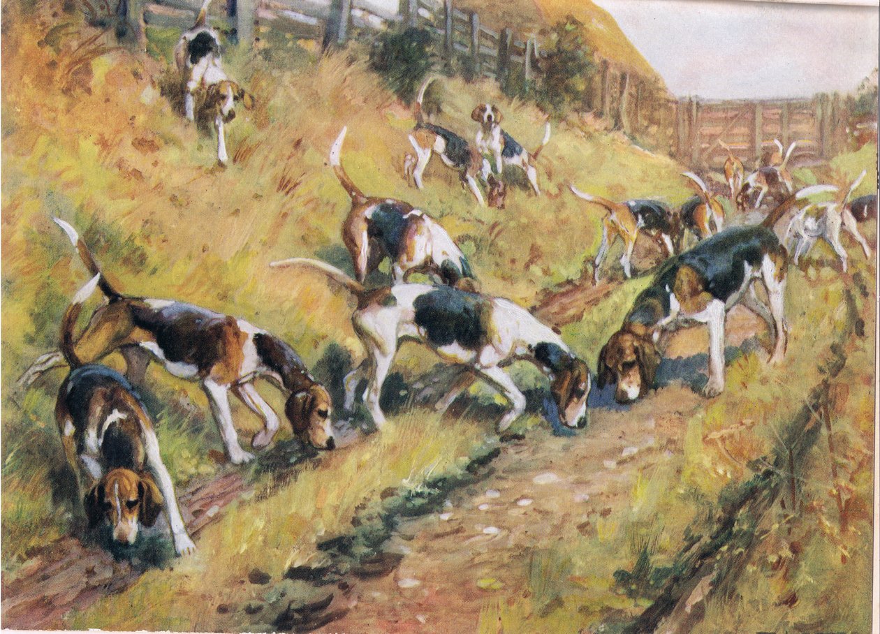 Burundan Yere, 'Tazılar'dan bir çizim by Thomas Ivester Lloyd