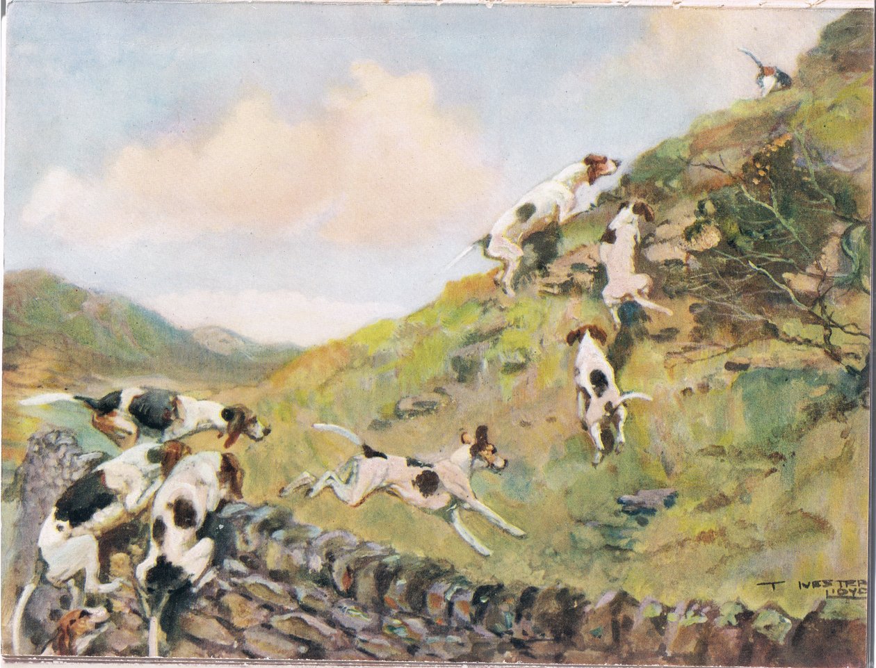Duvarı Çırpınmak, "Hounds"dan bir çizim by Thomas Ivester Lloyd