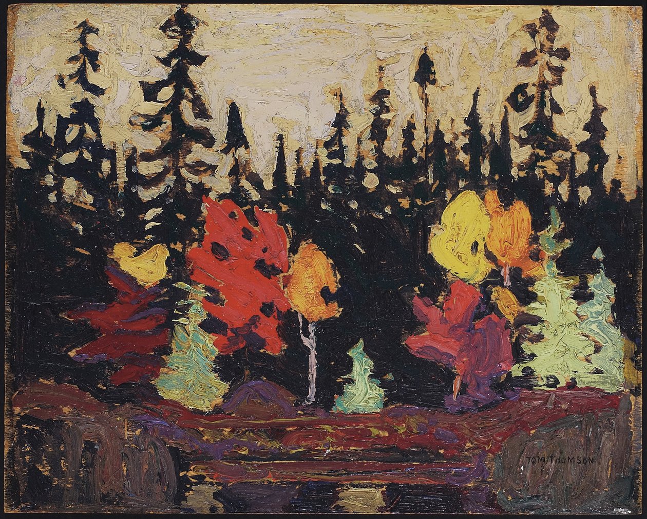 Kara Ladin ve Akçaağaç, 1915 (ahşap panel üzerine yağlı boya) by Tom Thomson