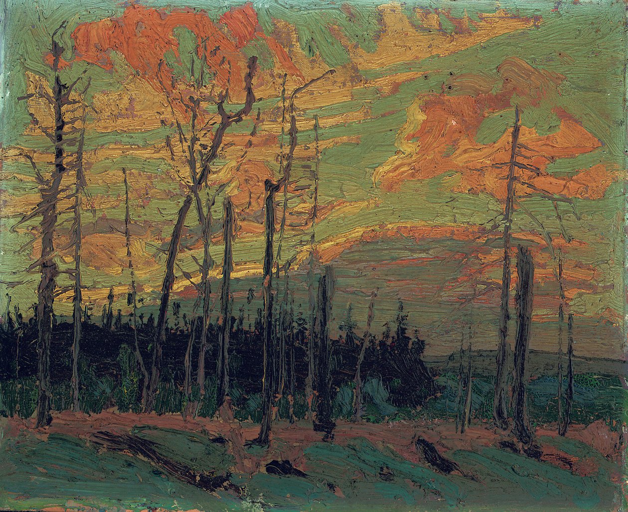 Gün Batımında Yanmış Toprak, 1915 by Tom Thomson
