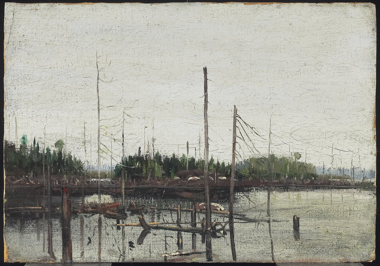 Boğulmuş Toprak, 1912 (kağıt üzerine yağlıboya (kabartma tuval dokusu ile) ahşap üzerine) by Tom Thomson