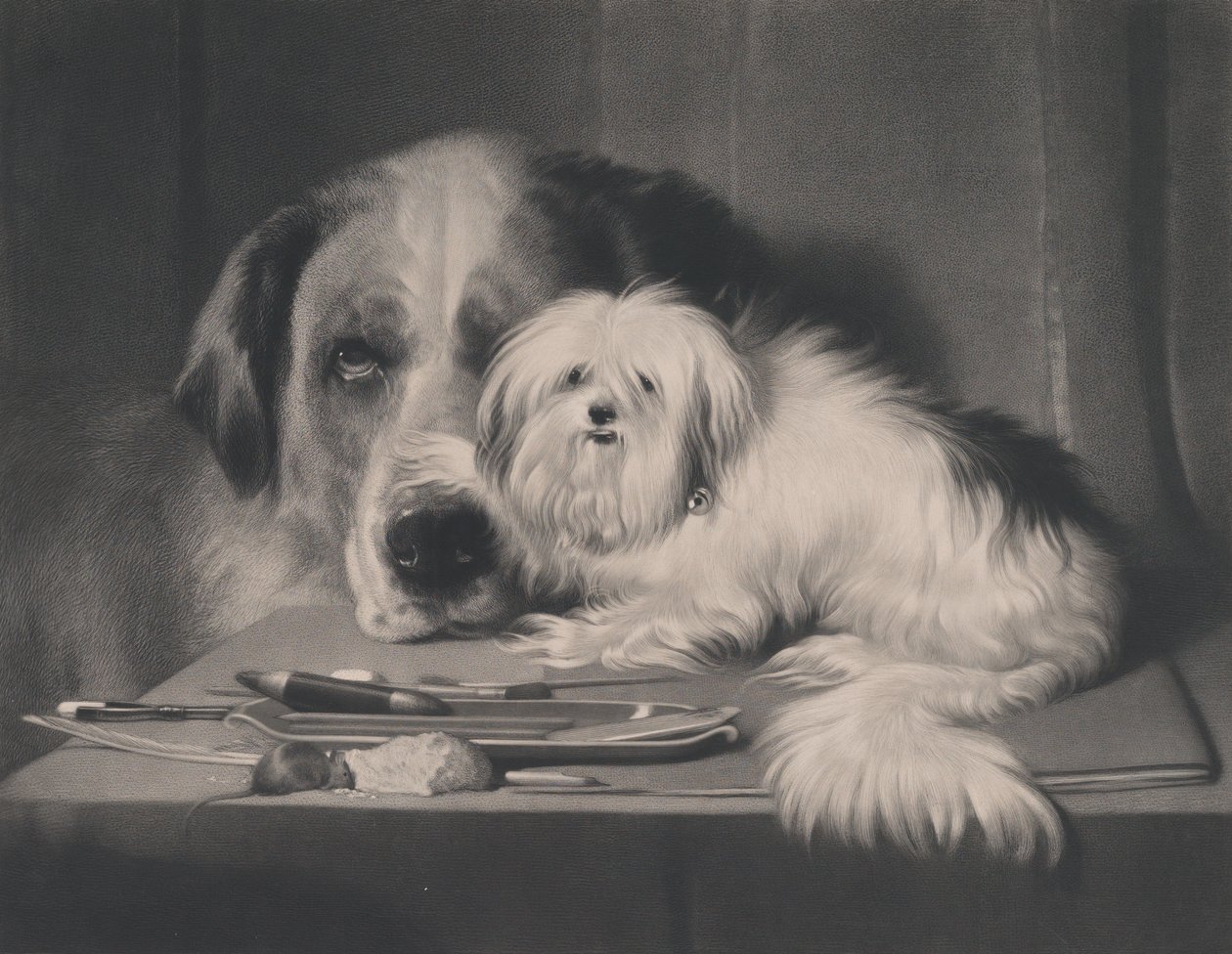 Malta Aslan Köpeği, Kabilesinin Sonu, 1844. by Thomas Landseer