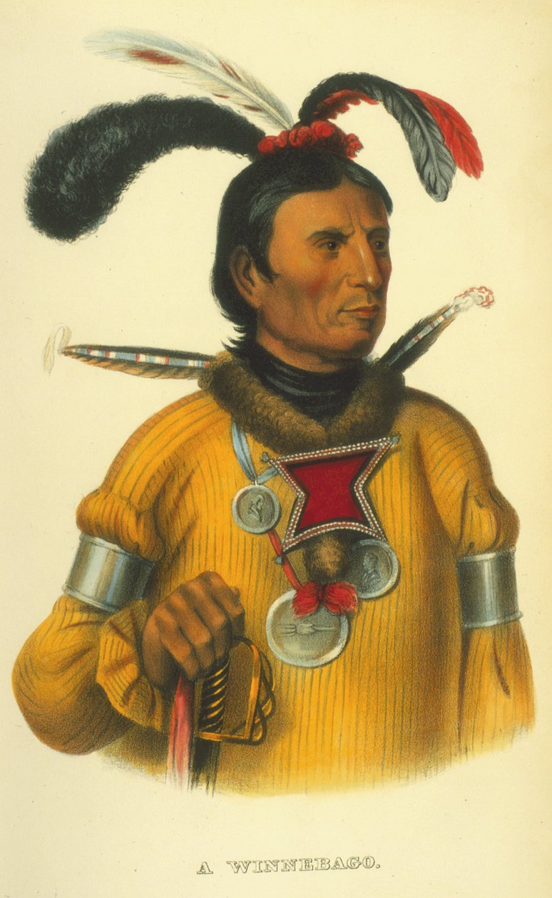 Bir Winnebago, 1854 (el boyaması taş) by Thomas Loraine McKenney