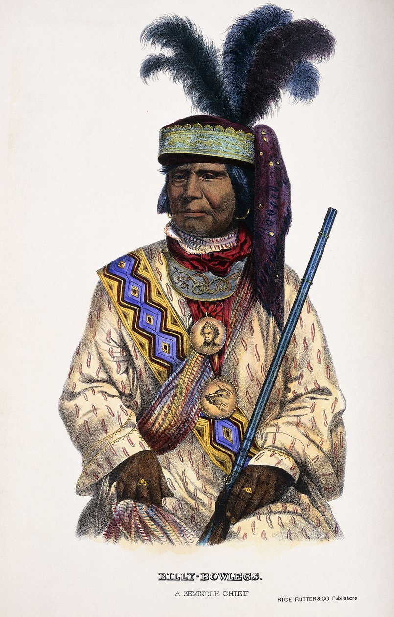 Billy-Bowlegs, Bir Seminole Şefi, 1899 by Thomas Loraine McKenney
