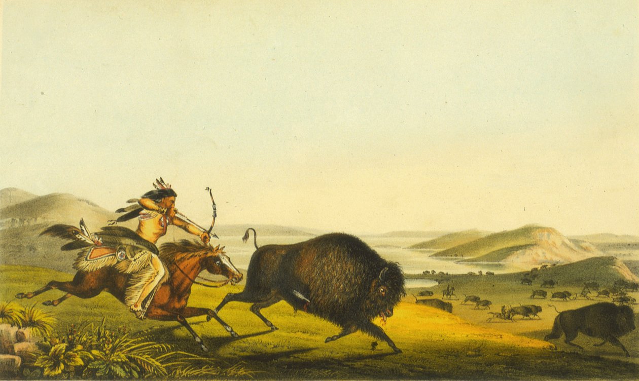 Bufalo avı, 1848 (el boyaması taş) by Thomas Loraine McKenney