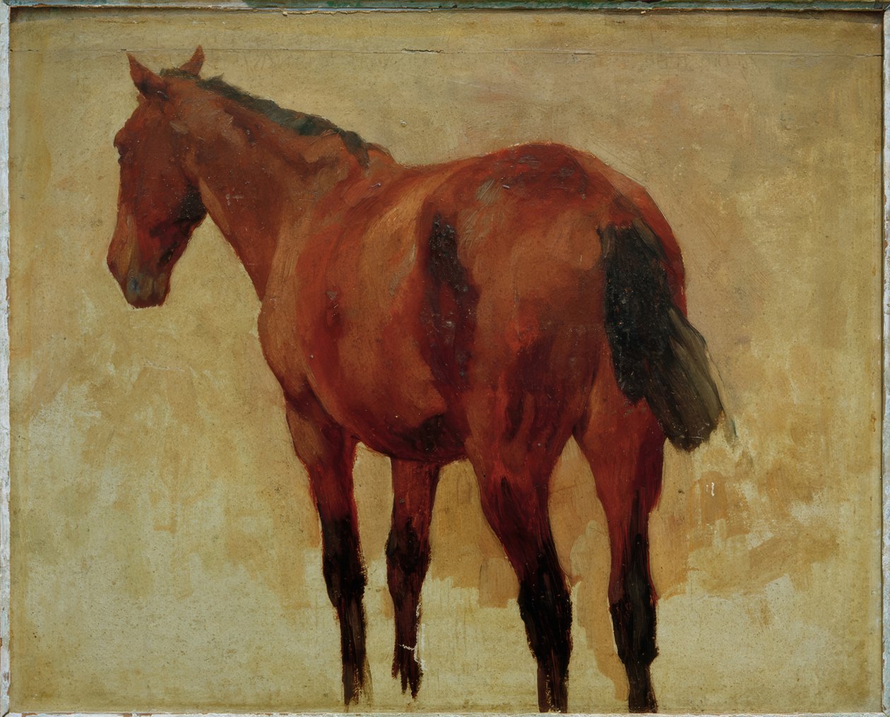 at çalışması by Thomas Ludwig Herbst