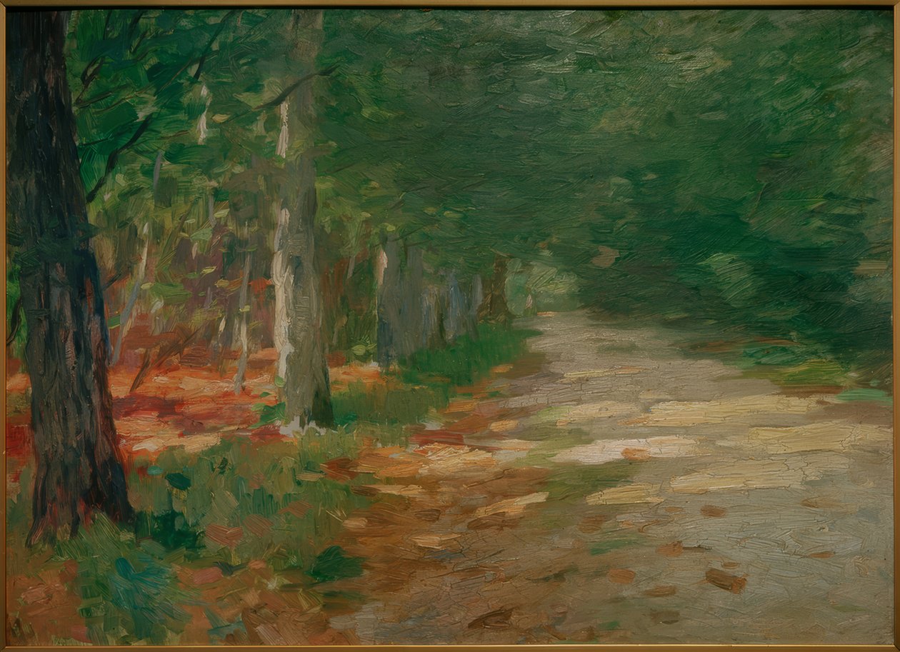 Güneş lekeleriyle dolu orman yolu by Thomas Ludwig Herbst