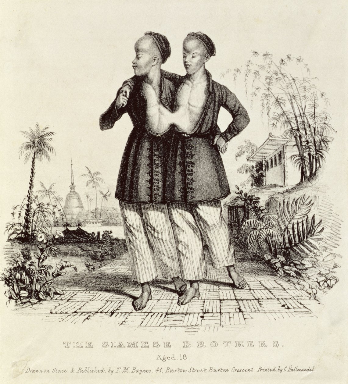 Siyam Kardeşler, 18 Yaşında, Charles Hullmandel (1789-1850), 1829 dolayları tarafından basılmıştır. by Thomas Mann Baynes