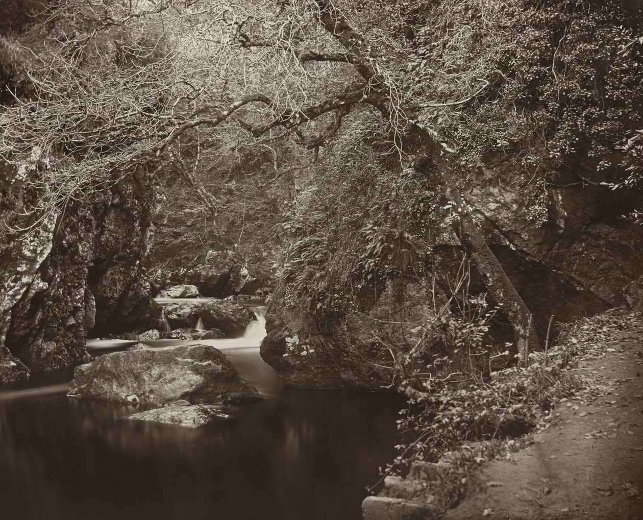 Dargle Deliği, c. 1865. by Thomas Marcus Brownrigg