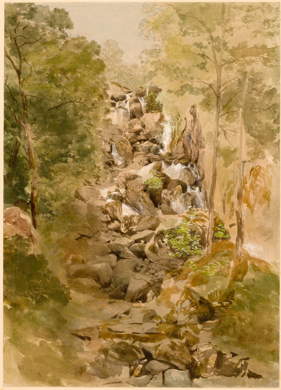 Şelaleli Manzara (gövde rengi) by Thomas Miles Richardson