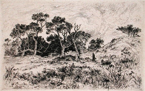 Güneyden Bir Rüzgar ve Bulutlu Bir Gökyüzü Onu Av Sabahı İlan Ediyor (gravür) by Thomas Moran