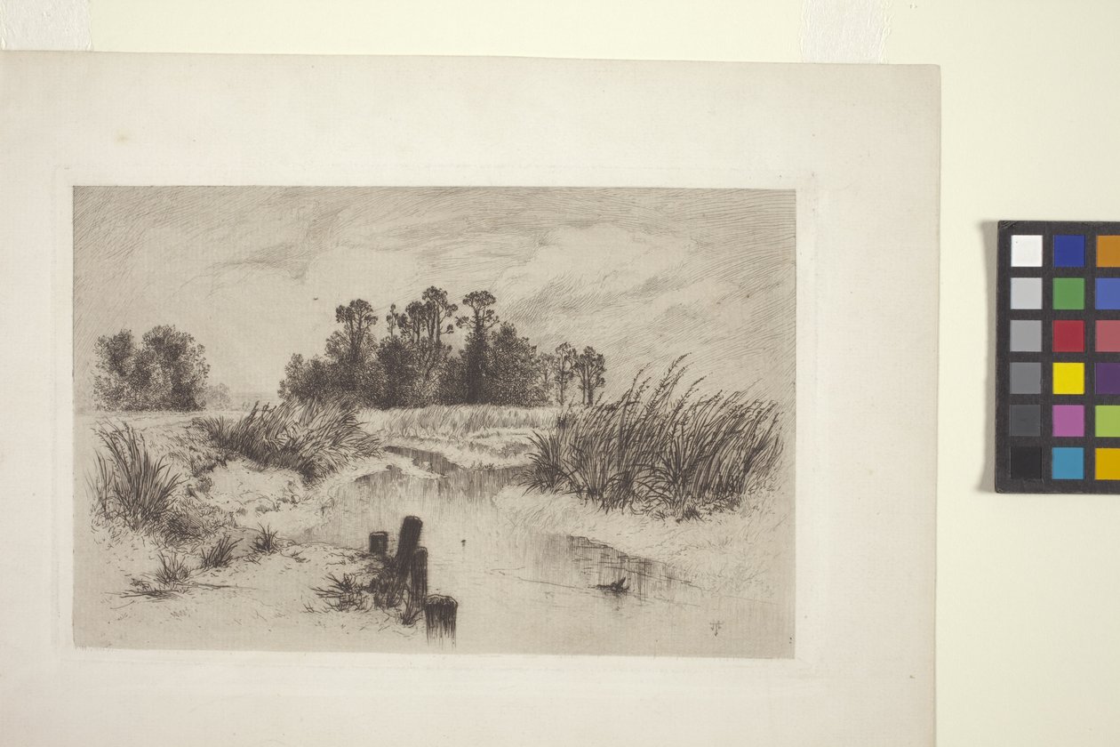 Akıntılı Bataklık Manzarası (kağıt üzerine gravür) by Thomas Moran