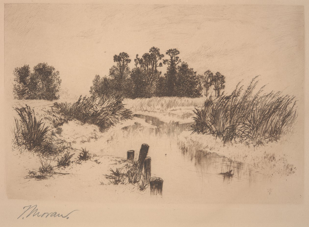 Passaic Meadows (Newark Meadows