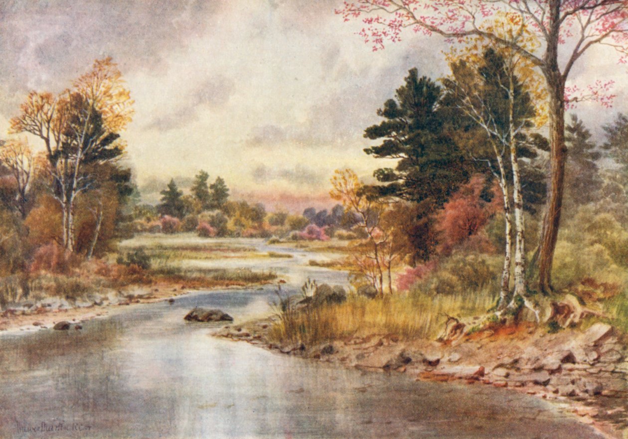  by Thomas Mower Martin
