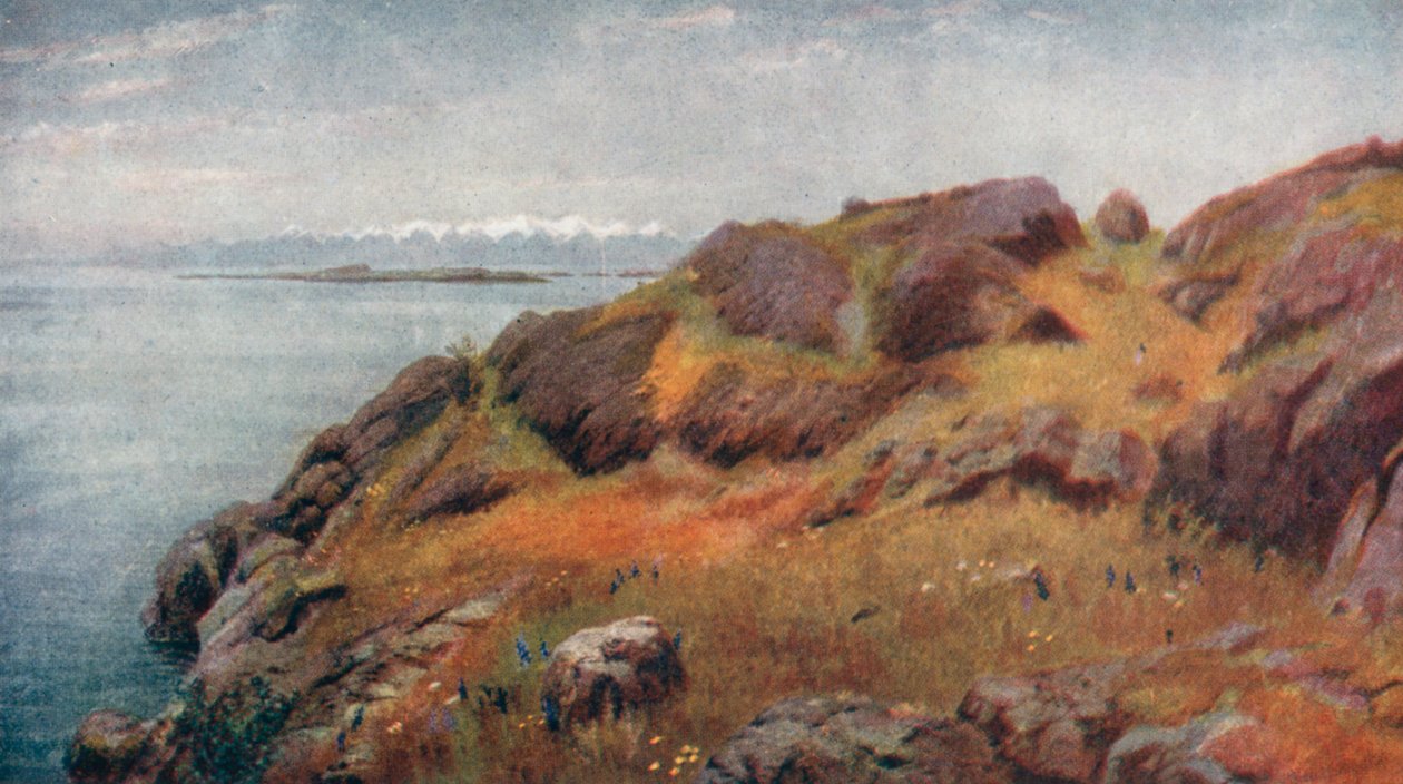  by Thomas Mower Martin