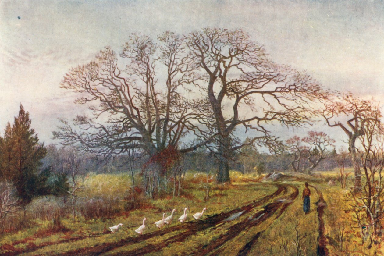  by Thomas Mower Martin