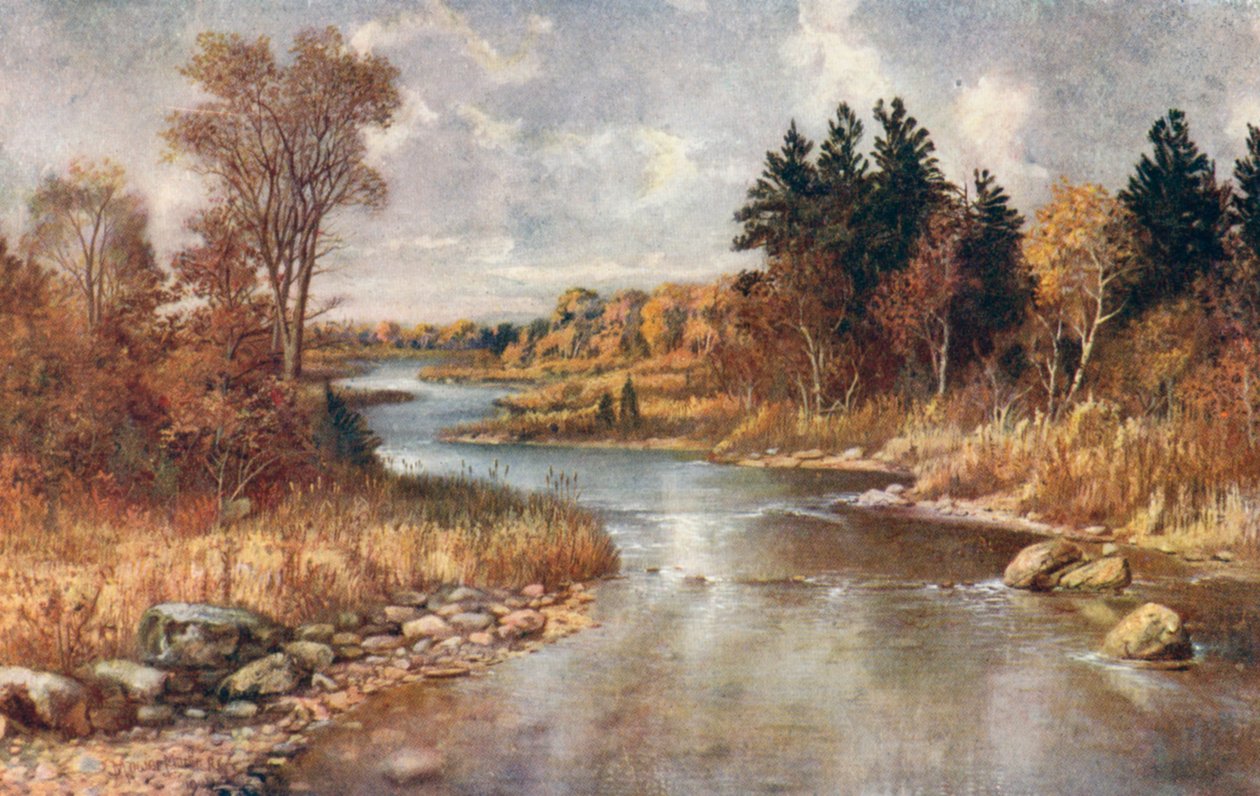 Superior Gölü yakınındaki Moose Country