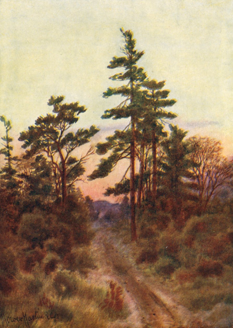 Victoria yakınlarındaki yol, Akşam (renkli baskı) by Thomas Mower Martin