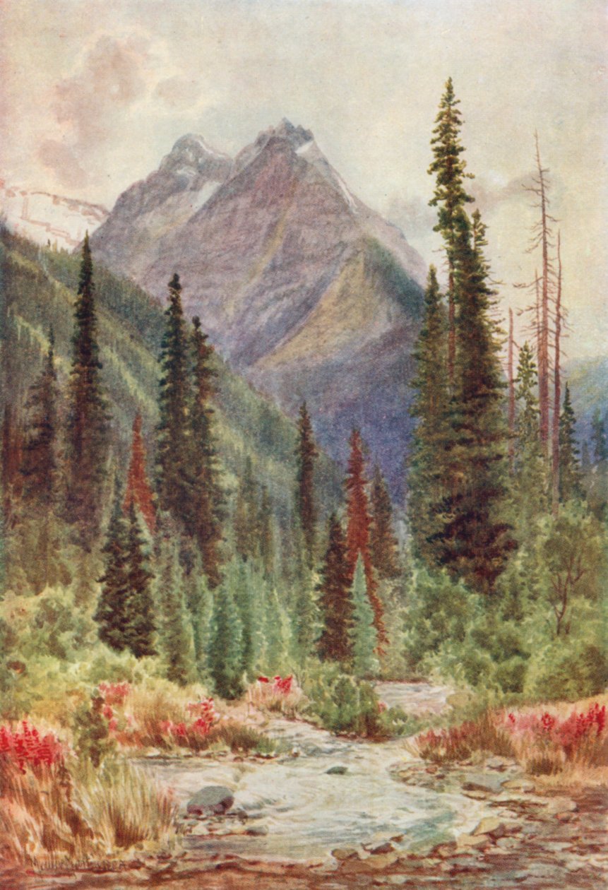 by Thomas Mower Martin