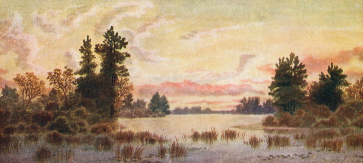  by Thomas Mower Martin