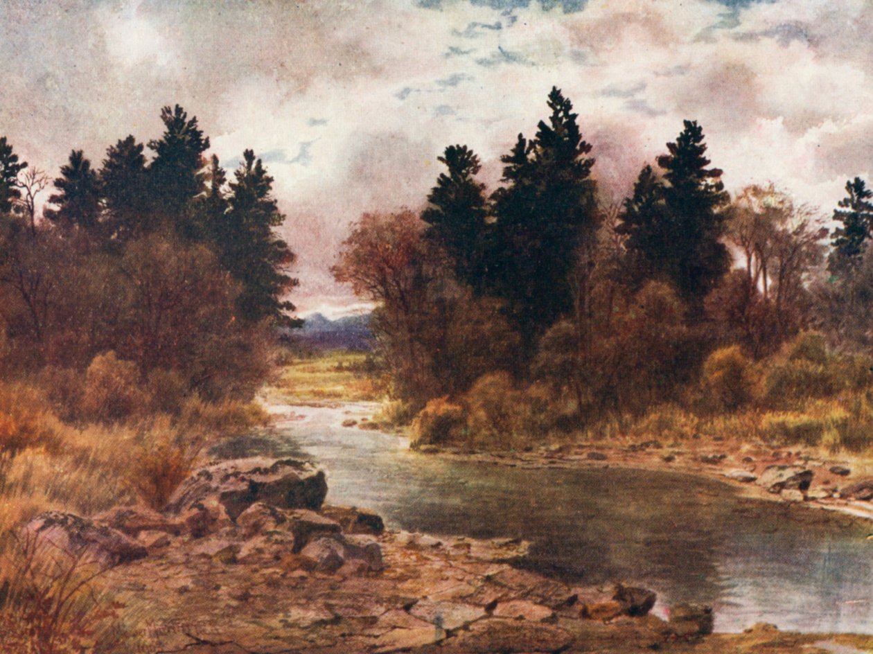  by Thomas Mower Martin