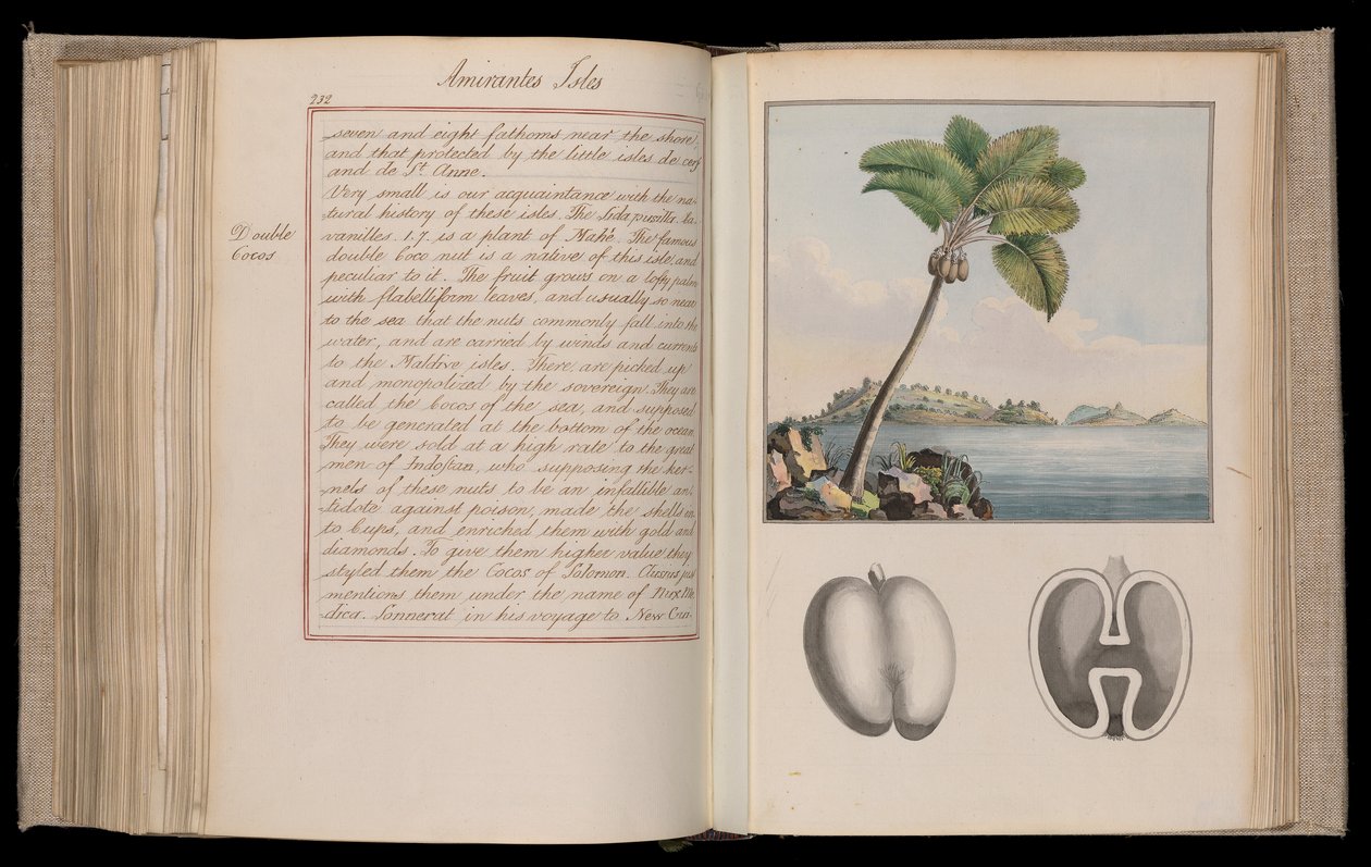  by Thomas Pennant