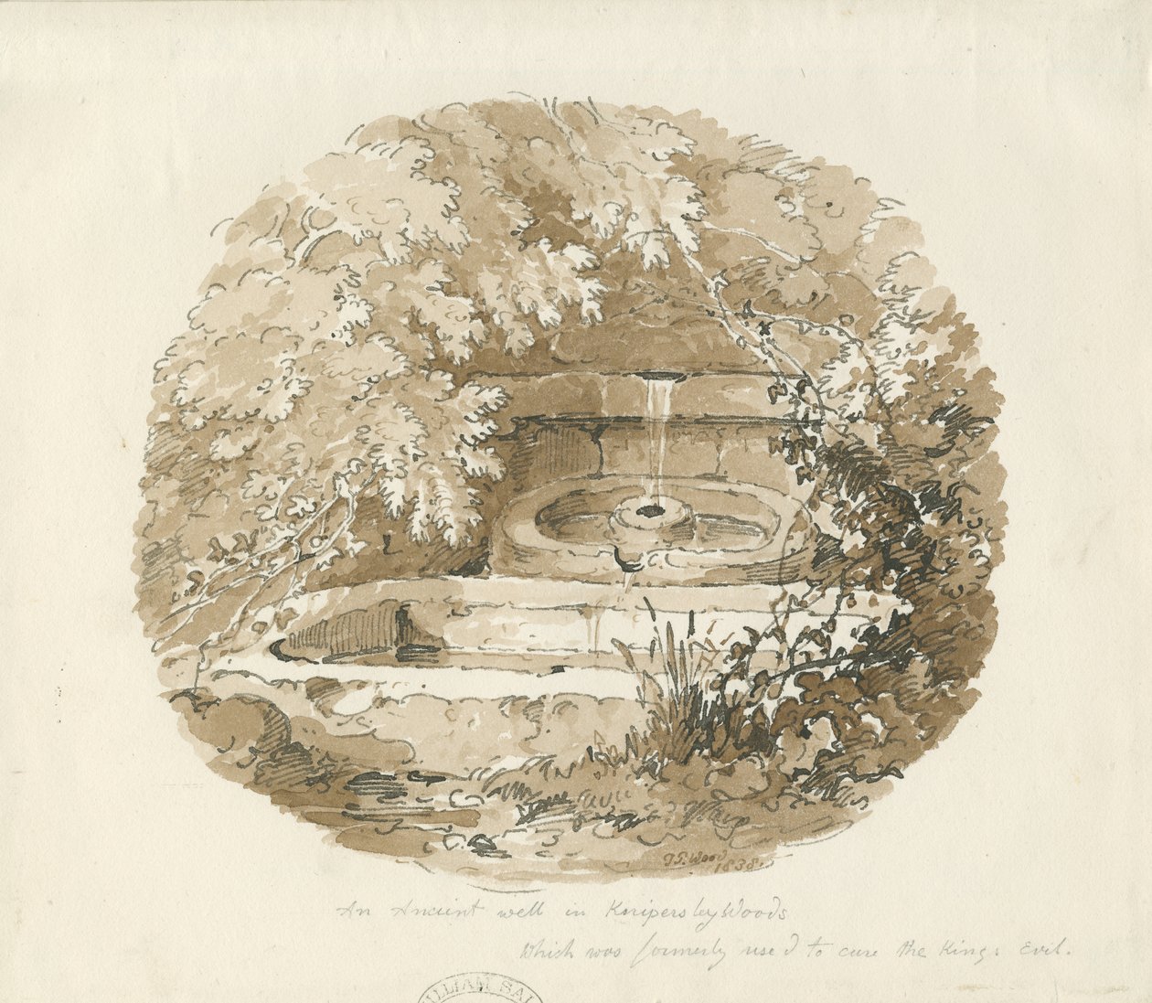 Biddulph - Knypersley Woods