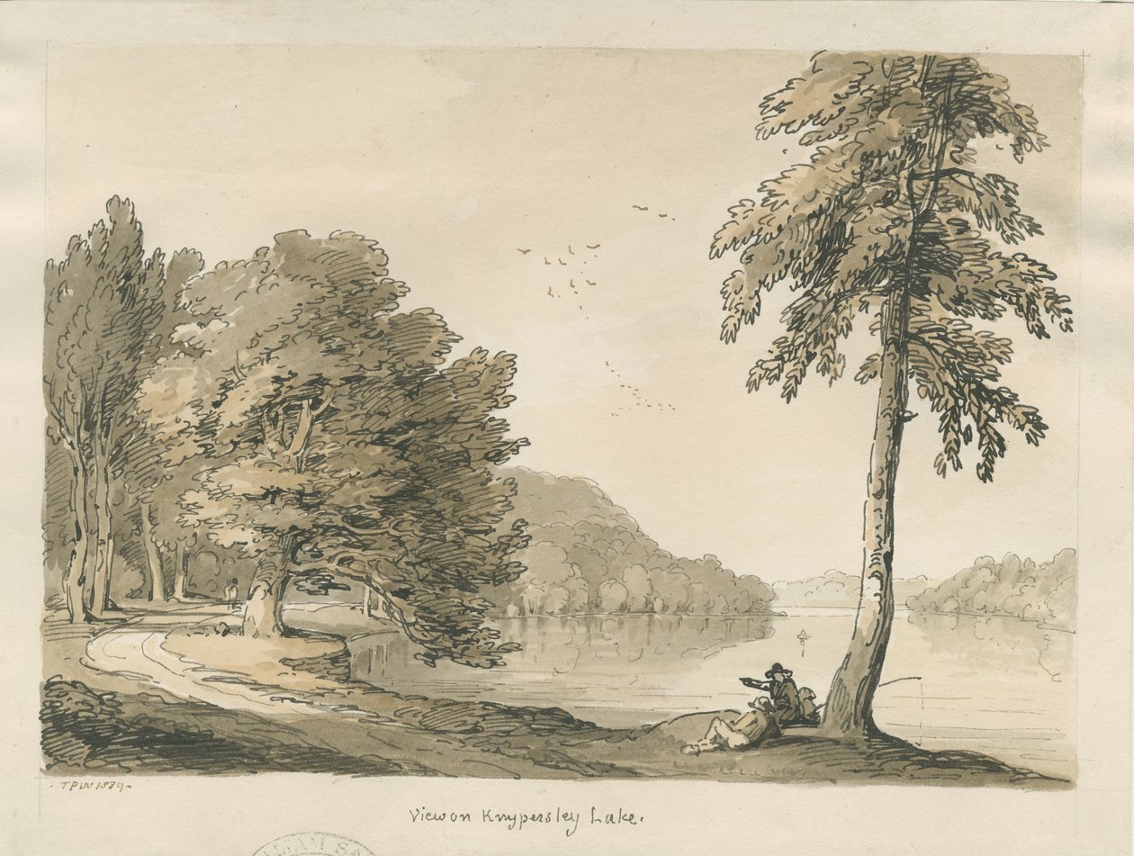 Biddulph Moor - Gelin Taşları: gravür by Thomas Peploe Wood