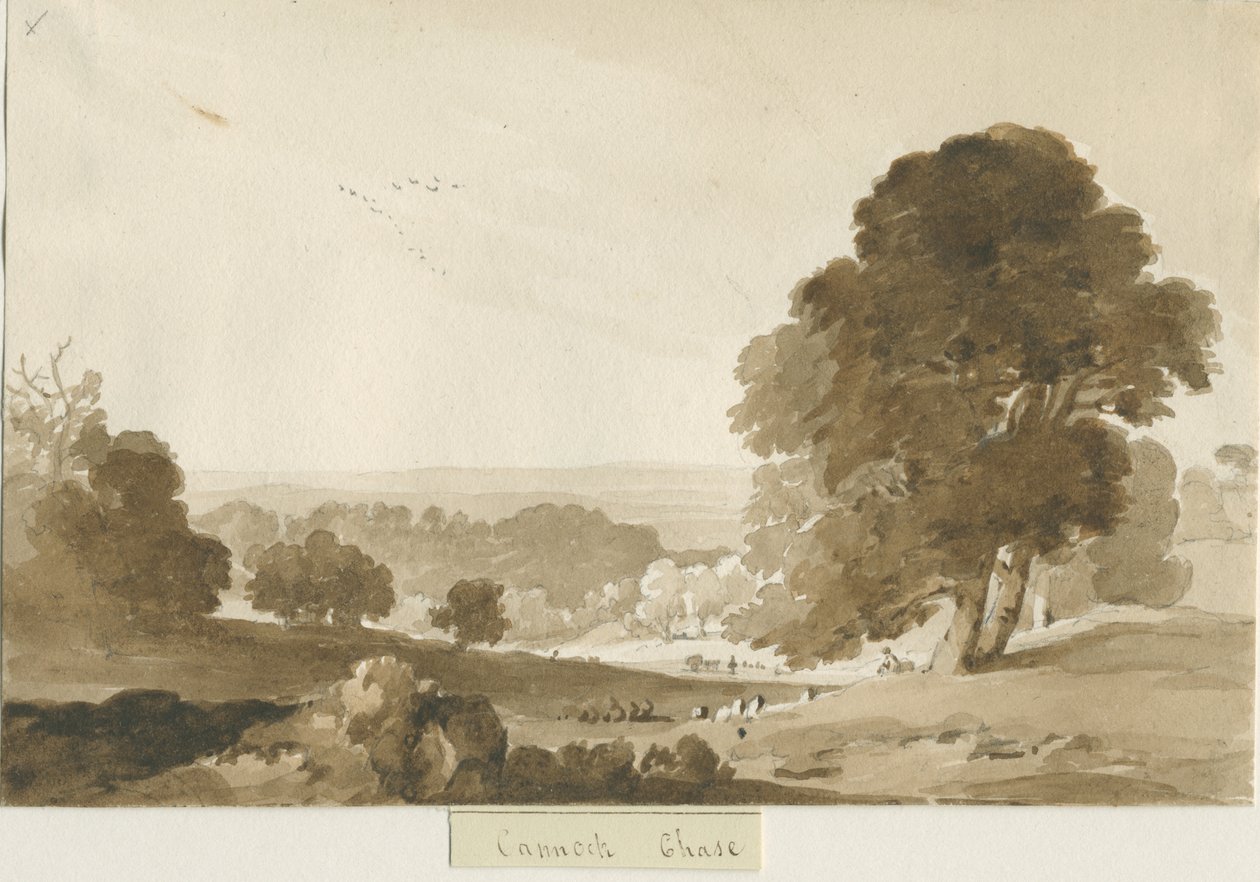 Cannock Chase: sepya yıkama çizimi, nd [?1839] by Thomas Peploe Wood