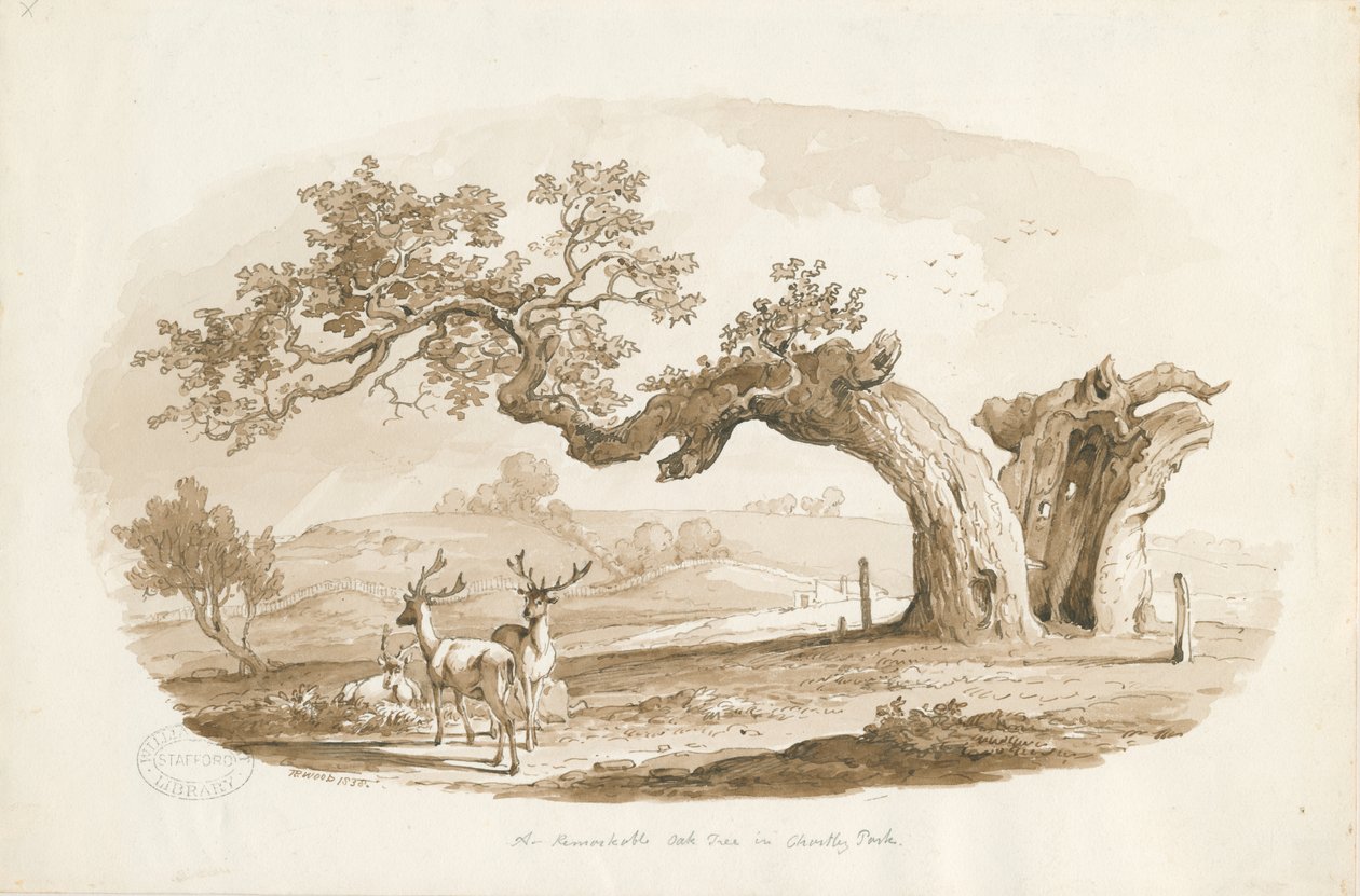 Chartley Hall - Park: sepya çizimi (vinyetli) by Thomas Peploe Wood