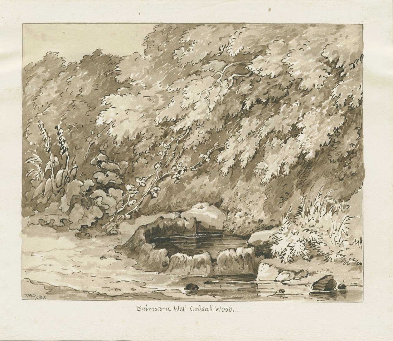 Codsall Wood - Brimstone Kuyusu: sepya çizimi by Thomas Peploe Wood