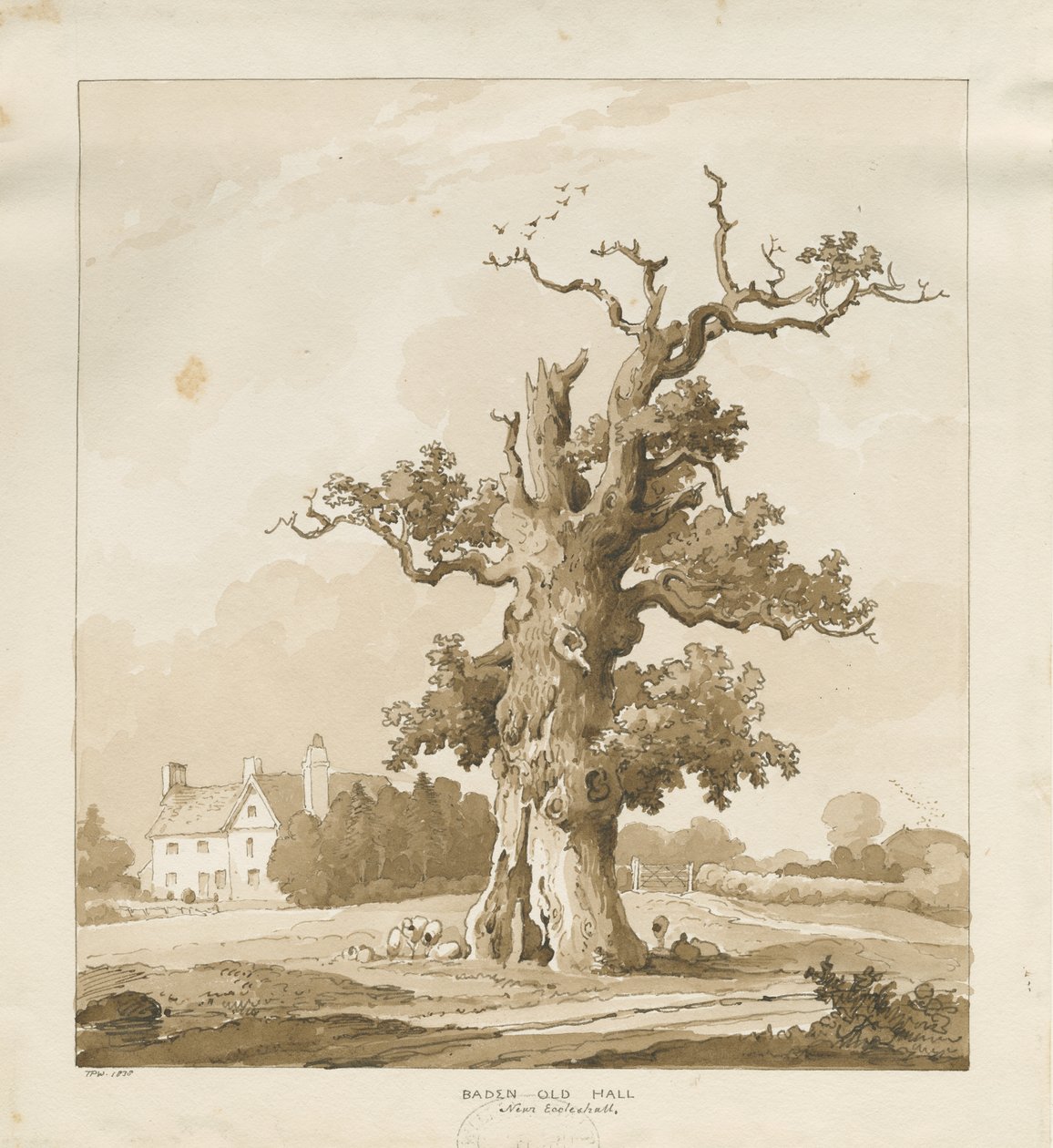 Eccleshall - Baden Old Hall: sepya çizimi by Thomas Peploe Wood