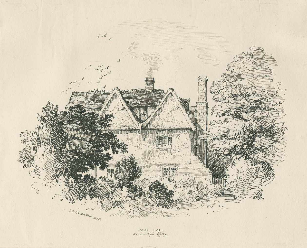 High Offley - Park Salonu: kalem ve mürekkeple çizim (vinyetli) by Thomas Peploe Wood