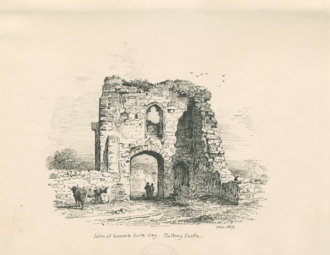 Tutbury Kalesi - Gaunt