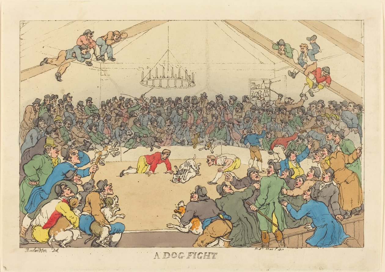 Köpek Dövüşü by Thomas Rowlandson