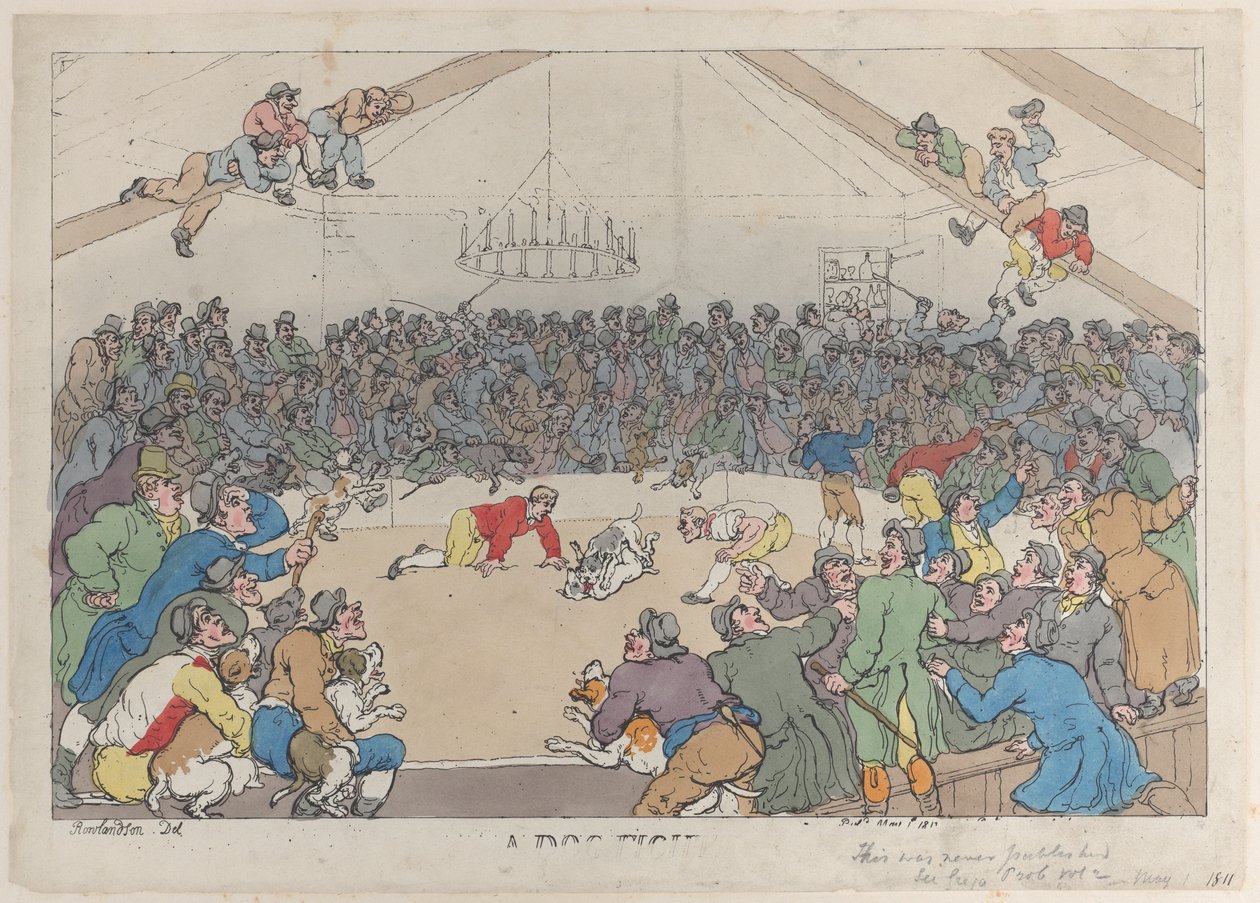 Bir Köpek Dövüşü, 1 Mayıs 1811., 1 Mayıs 1811. by Thomas Rowlandson