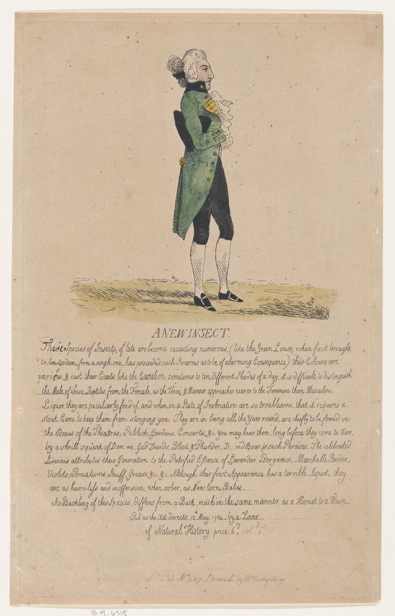 Yeni Bir Böcek, 12 Mayıs 1784., 12 Mayıs 1784. by Thomas Rowlandson