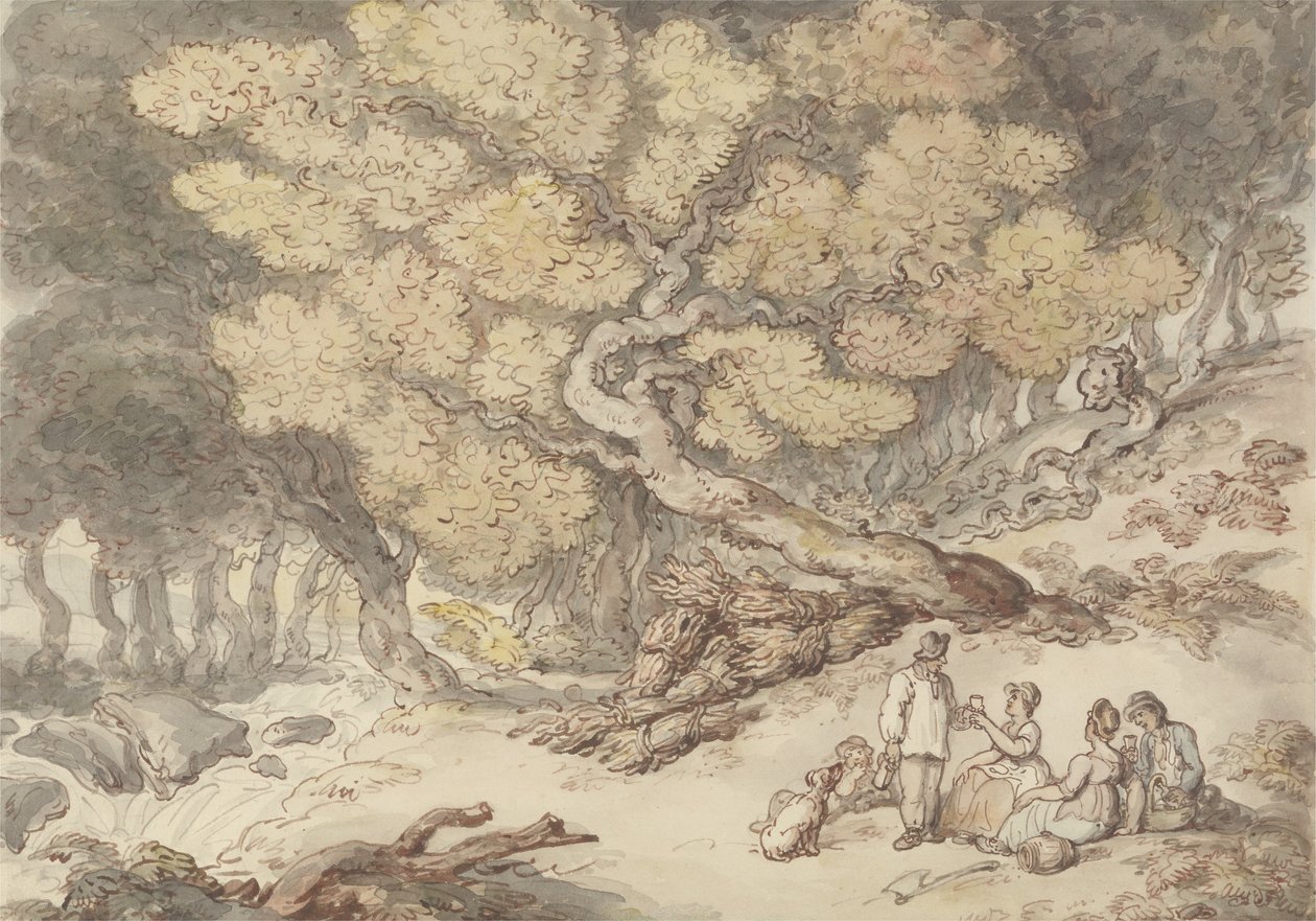 Oduncu Pikniği (kağıt üzerine grafit üzerine sulu boya ile kalem ve mürekkep) by Thomas Rowlandson