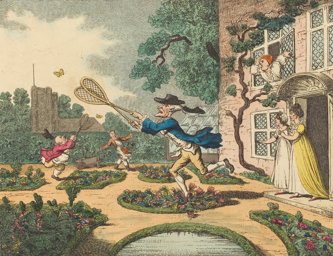 Kelebek Avı, 1806. by Thomas Rowlandson