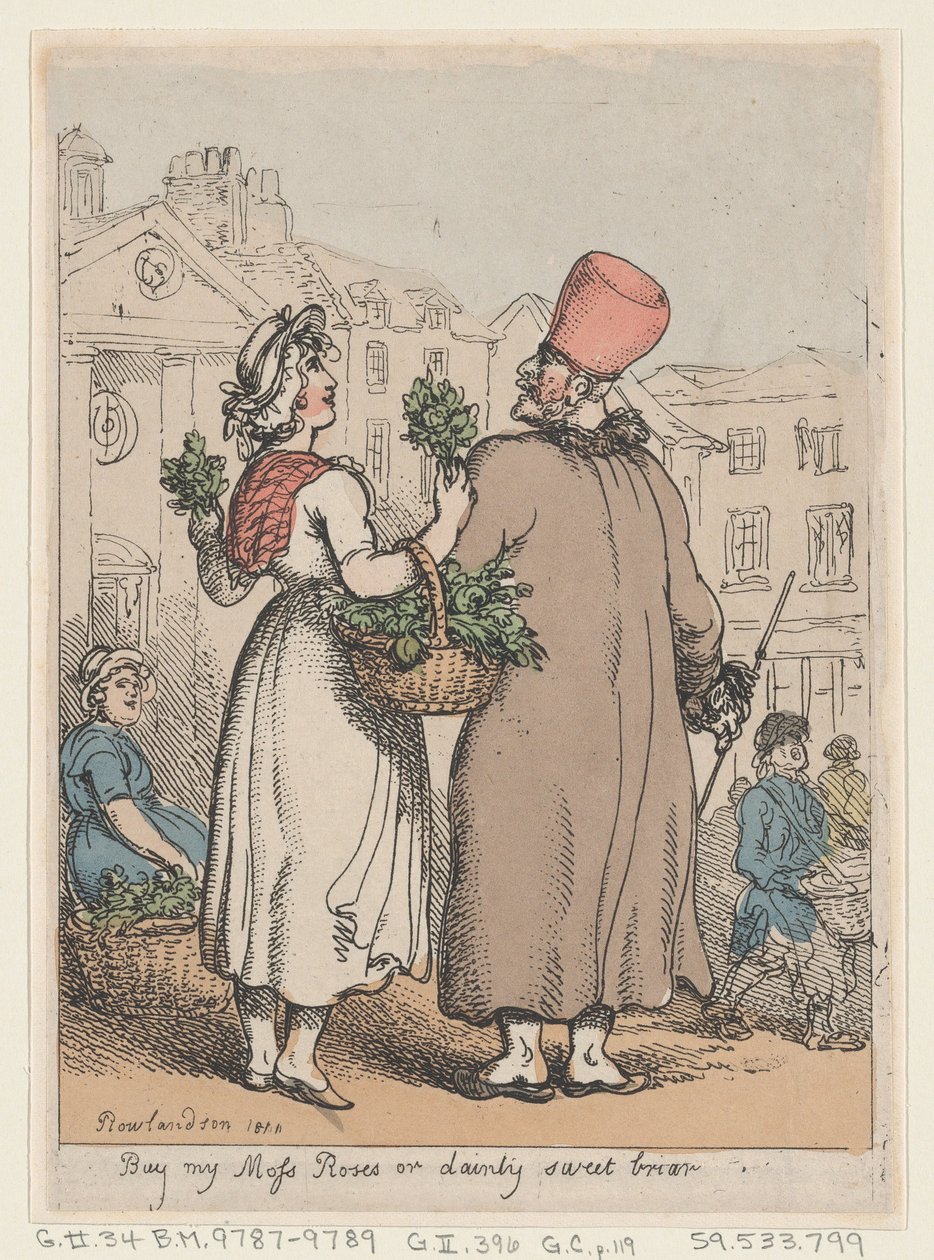 My Moss Roses veya Dainty Sweet briar, 1811., 1811 satın alın. by Thomas Rowlandson