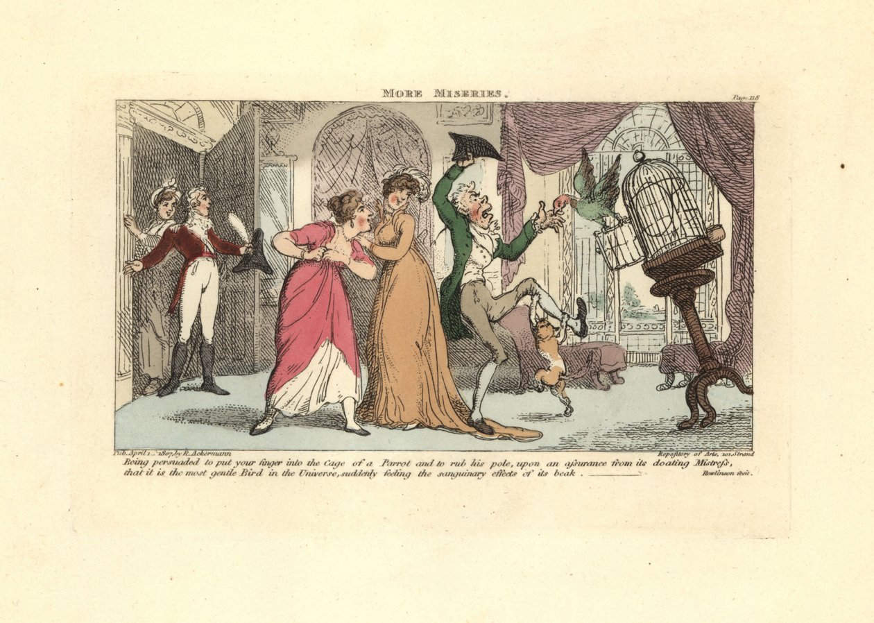 Bir misafir odasında bir papağan ve kedi tarafından saldırıya uğrayan adam. by Thomas Rowlandson