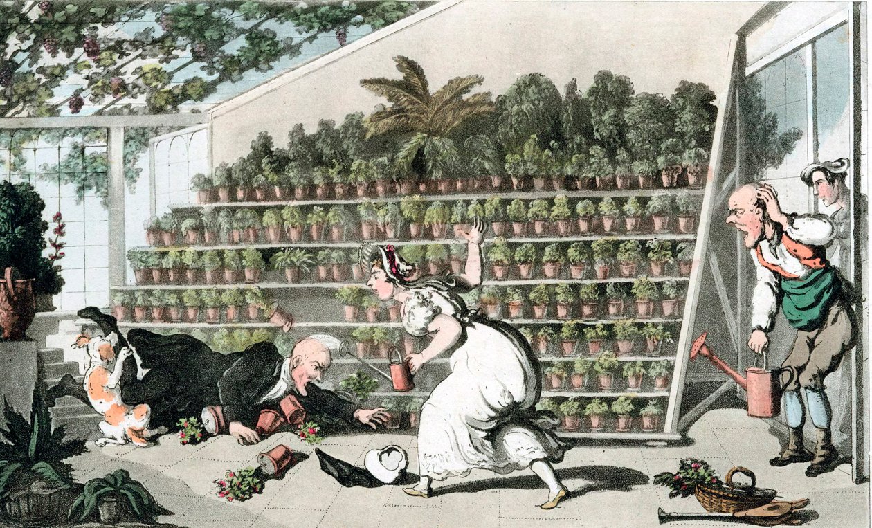 Lale Salonundaki Talihsizlik, c1816 by Thomas Rowlandson